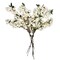 Sakura White Cream Silk Cherry Blossom – 34” Set of 3 | Artificial Flower Branches for Home, Wedding, Event, and Spring Décor | Realistic Faux Japanese Cherry Blossom Stems
